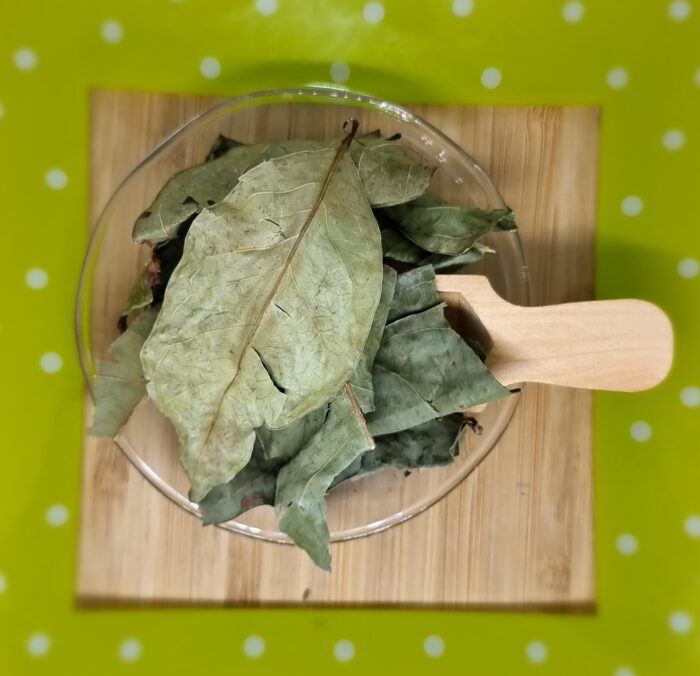 Daun salaam, salam blad, Indonesian bay leaf, Indische laurier  Kwaliteit - Afbeelding 1
