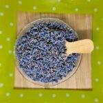 Lavendelbloemen heel   Kwaliteit