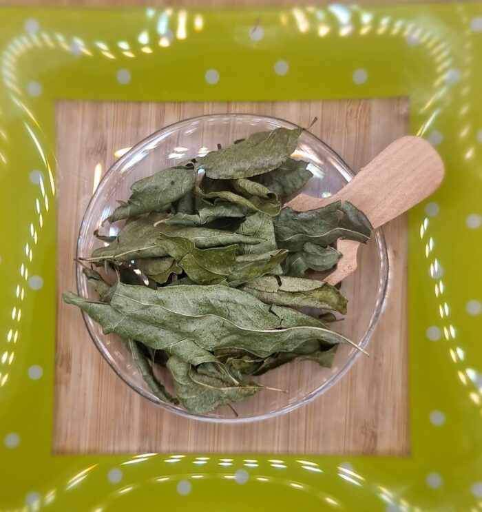 Kerrieblad heel / Curryblad  Kwaliteit - Afbeelding 1