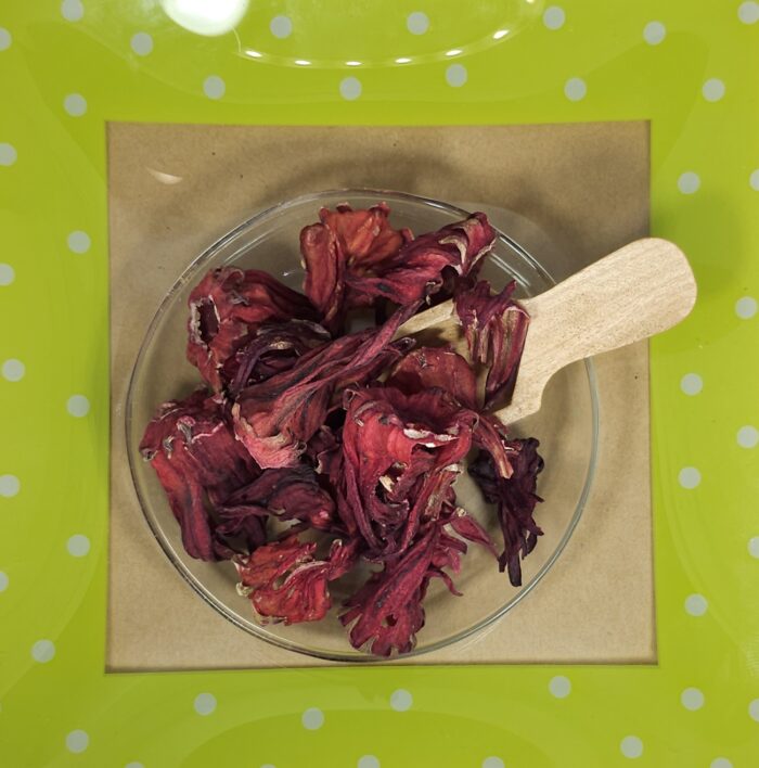 Hibiscus thee rose bloemen   Kwaliteit - Afbeelding 1